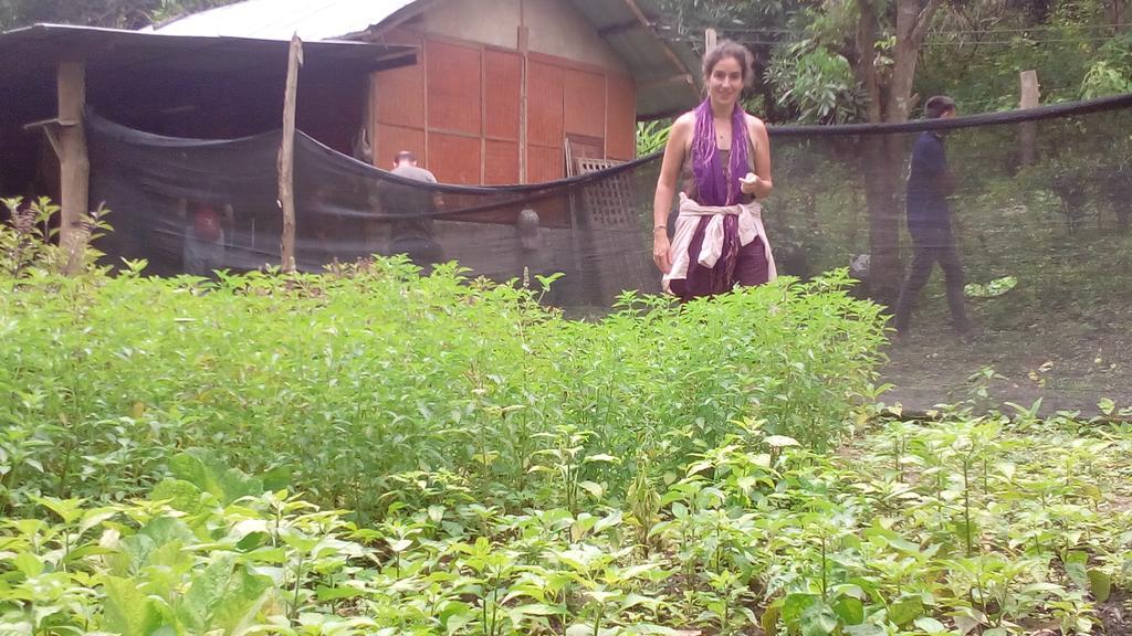 The Local Story Resort Ban Mon Talaeng Luaran gambar